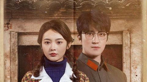 彪悍媳妇的八零年代,奋斗与爱情的岁月印记