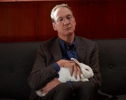 荣誉之客,探寻荣耀背后的故事与传奇