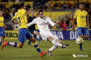 24-25赛季西甲第3轮 拉斯帕尔马斯vs皇家马德里,西甲第3轮激战正酣”