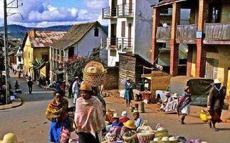 我靠摆摊买下一座岛,从街头小贩到岛主传奇